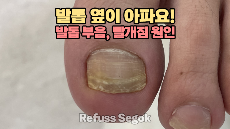 레푸스강남세곡점 이미지