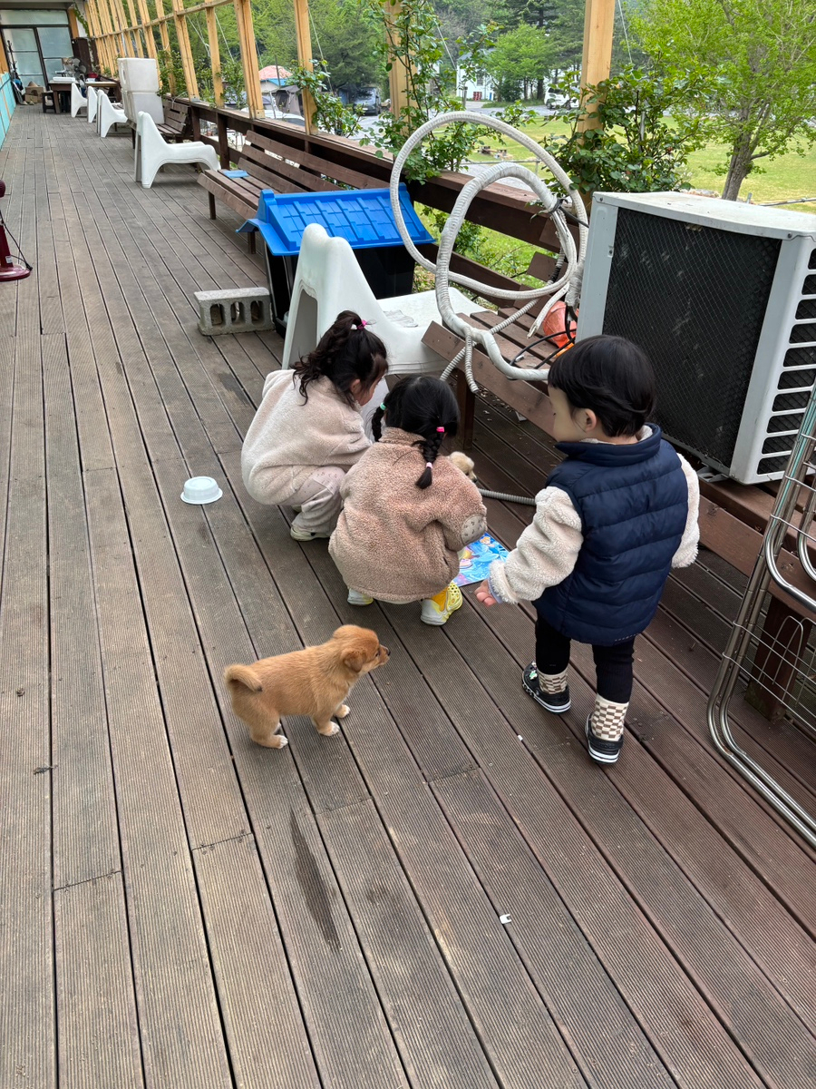 오손도손캠핑장 이미지