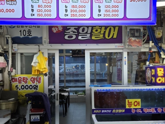 종일활어 이미지