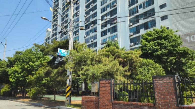 태성25 이미지