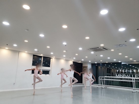 민예술발레아카데미학원 이미지