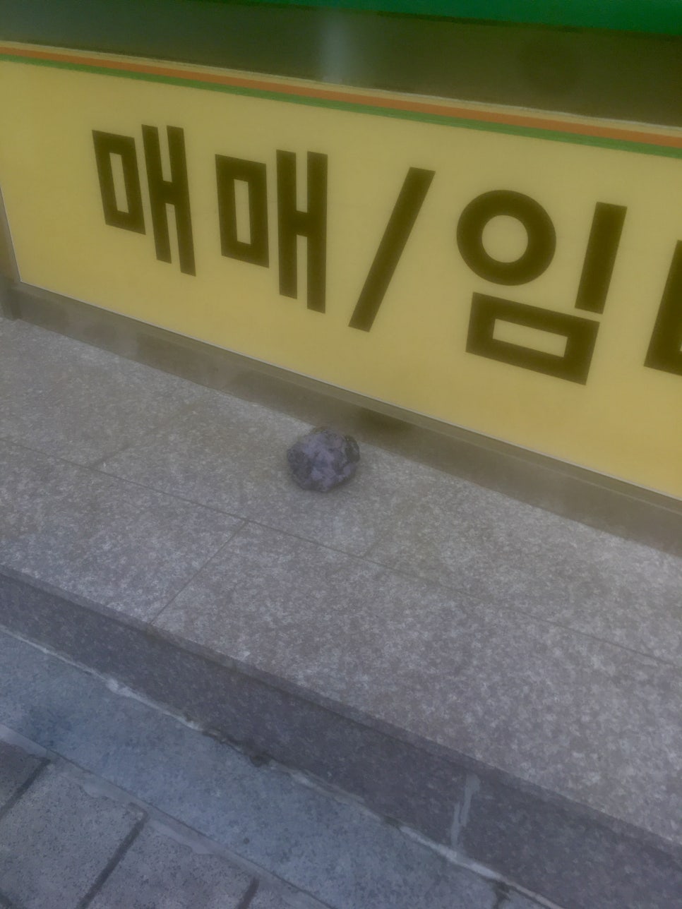 21세기 할인마트 이미지