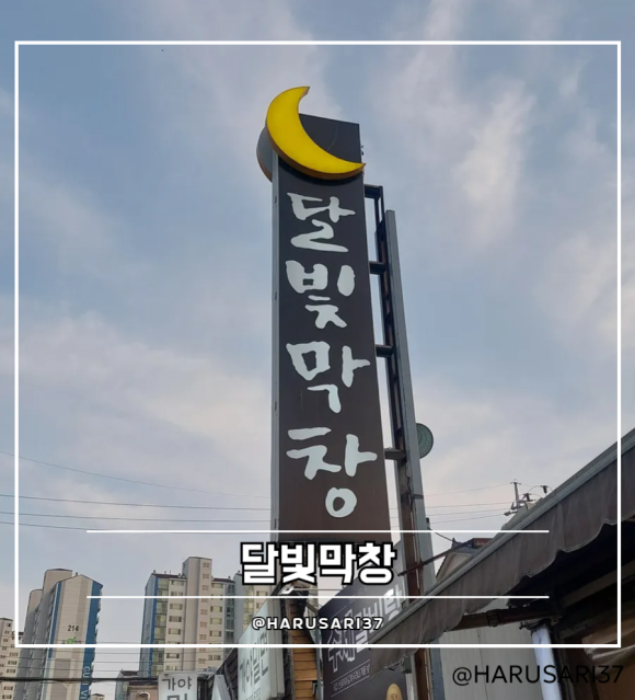 달빛막창 이미지