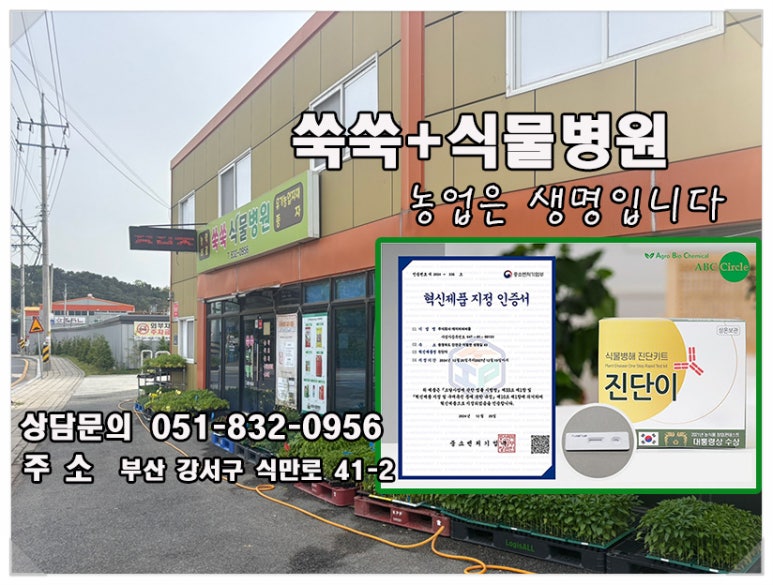 (주)키우다 이미지