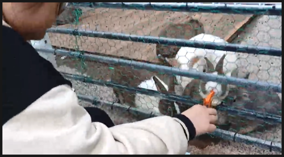 쿠카페 이미지