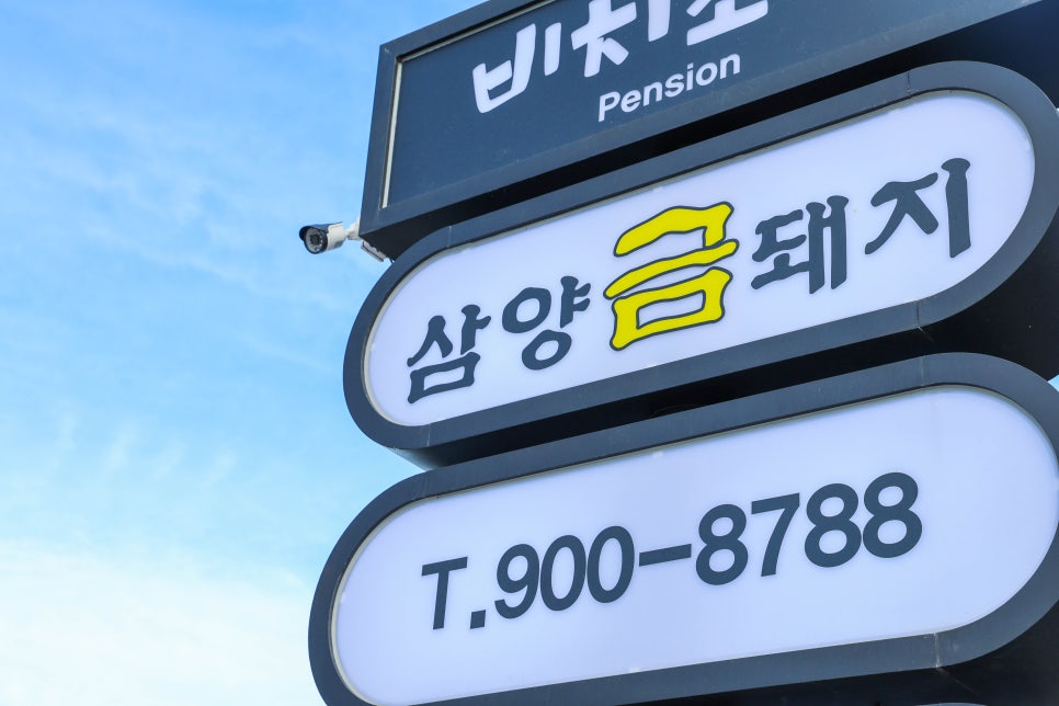삼양금돼지 이미지