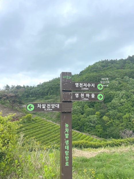 카페초록잎 이미지