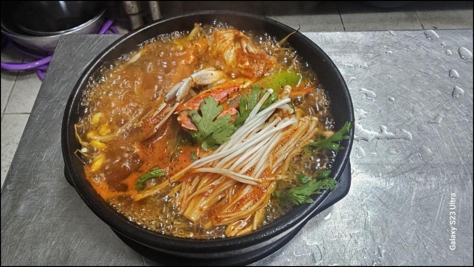 진심코다리 이미지