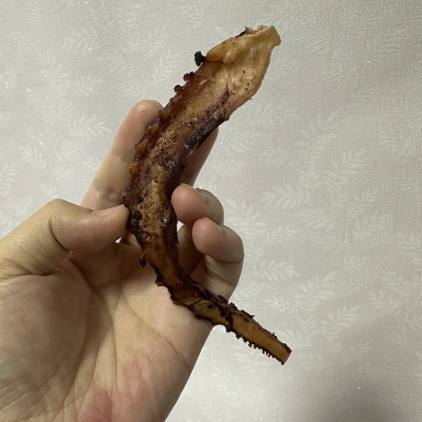 찡보네징어 이미지