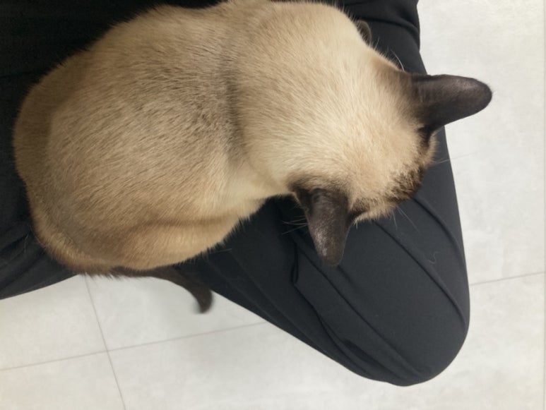 혜리콩 이미지