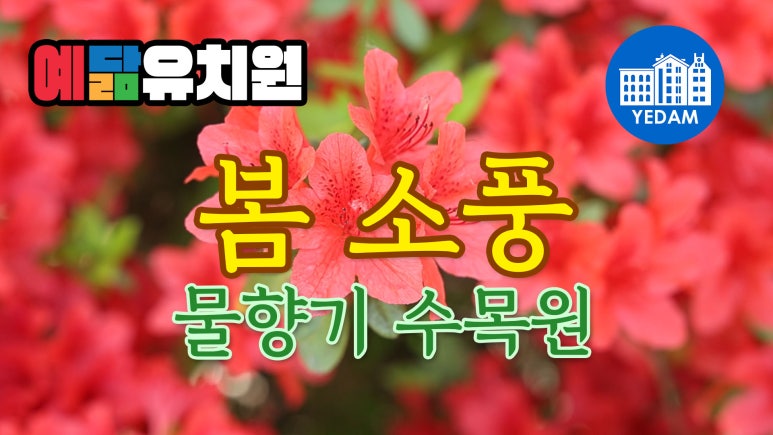 물향기유치원 이미지
