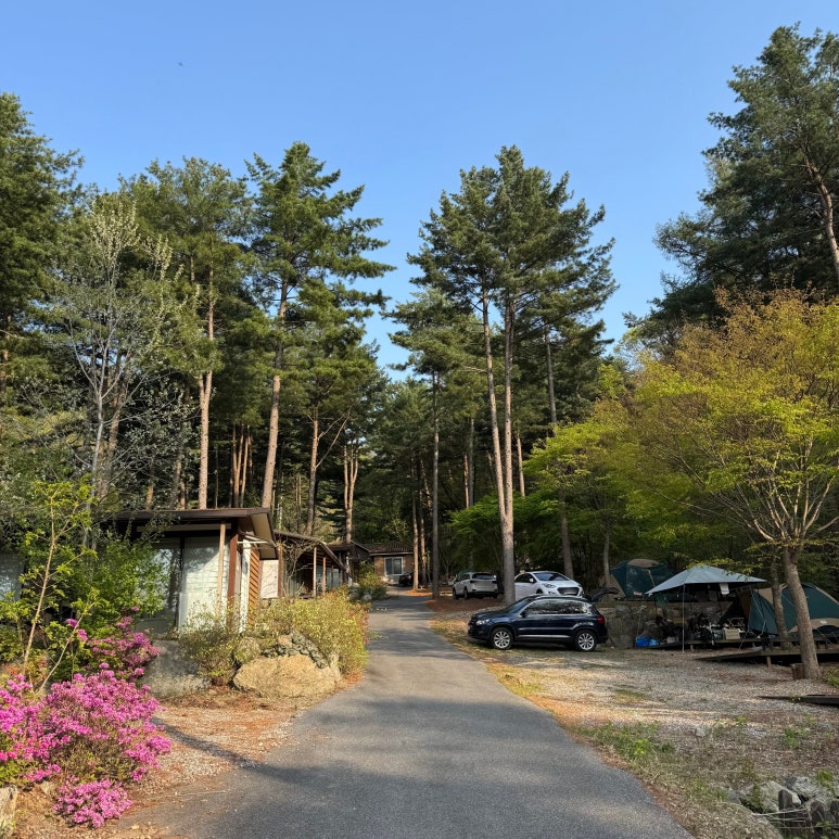 유명산힐링캠프 이미지