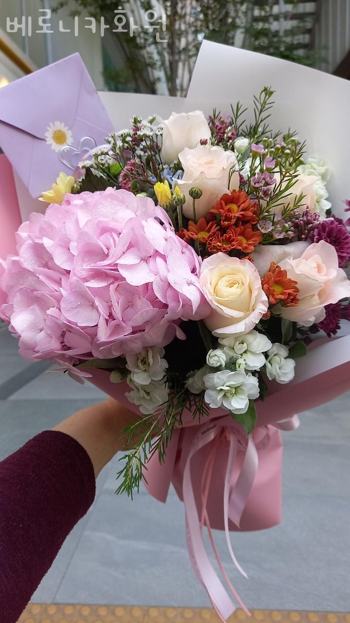 베로니카화원 이미지