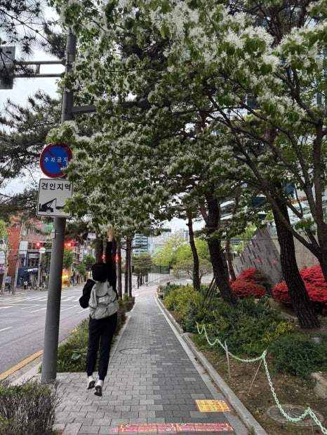 엘카페커피로스터스 이미지