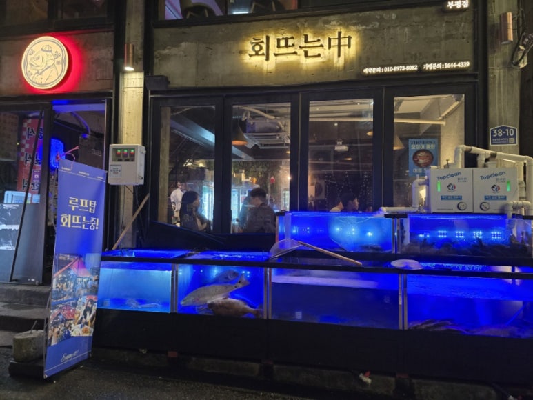 회뜨는중 이미지