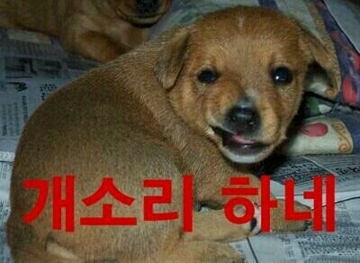 오만가지천냥 이미지