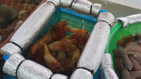 마산 해물포차 이미지