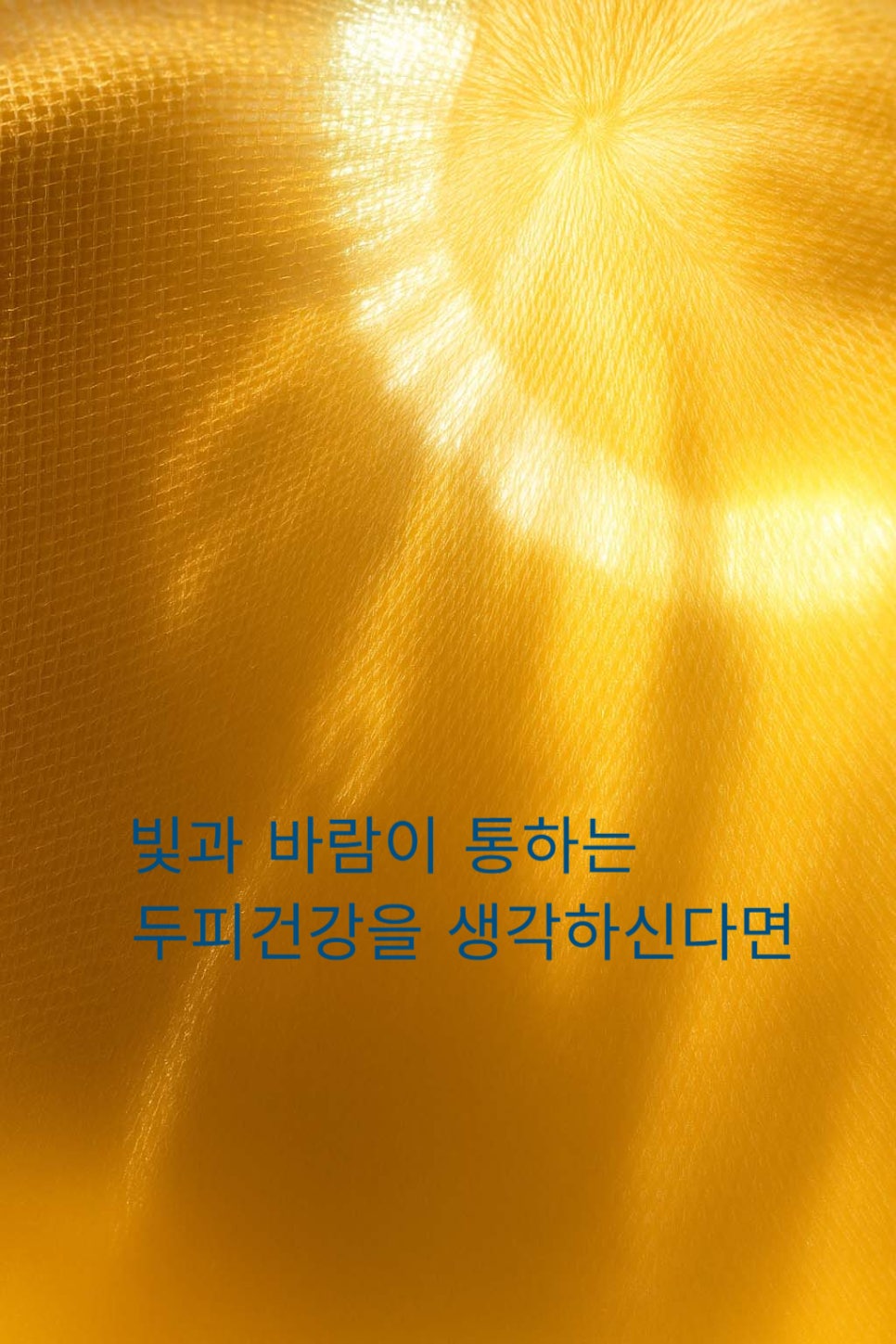 조이모 이미지