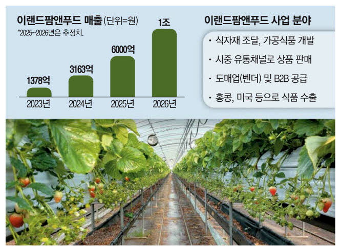 앤(N)푸드 이미지
