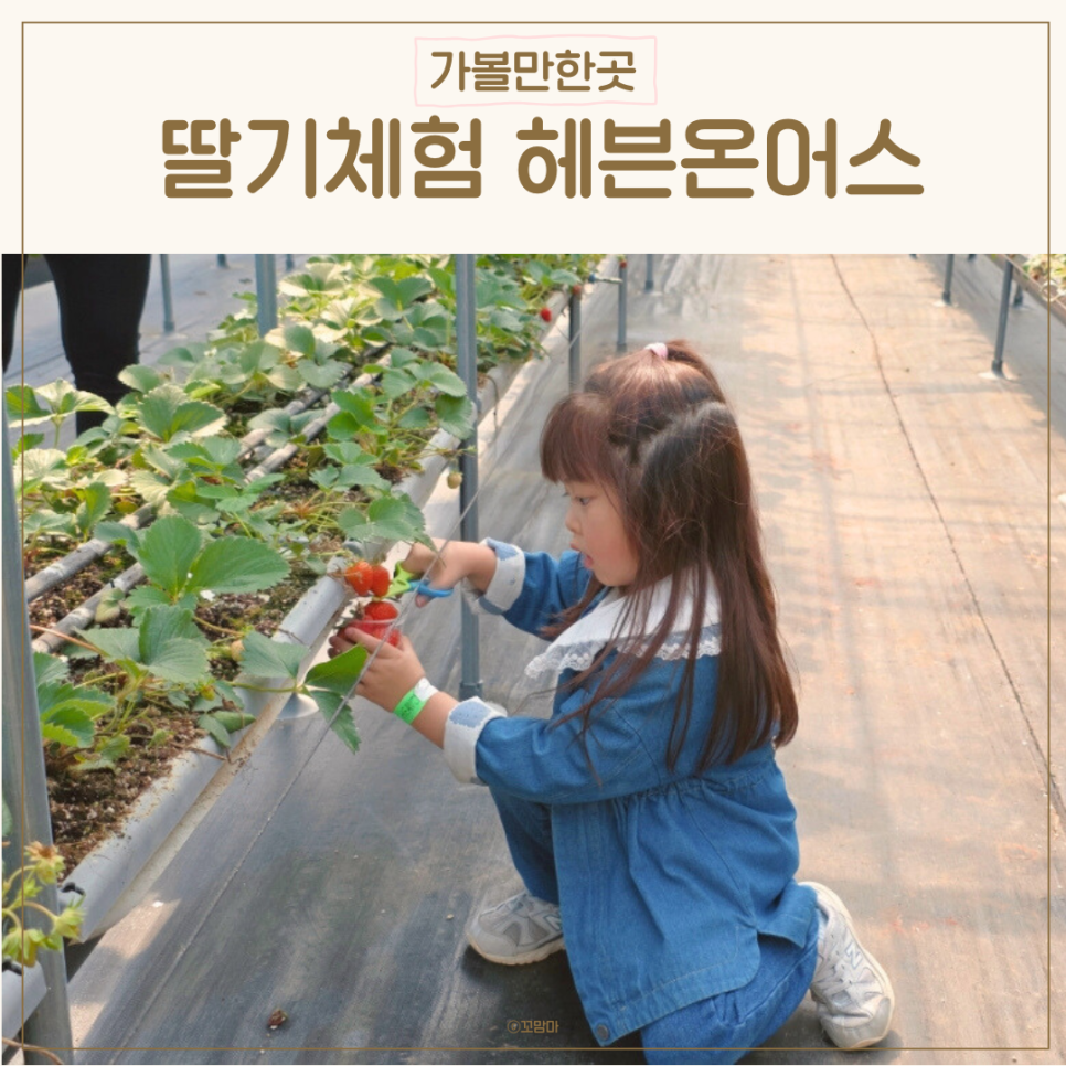 (주)아이어스 이미지