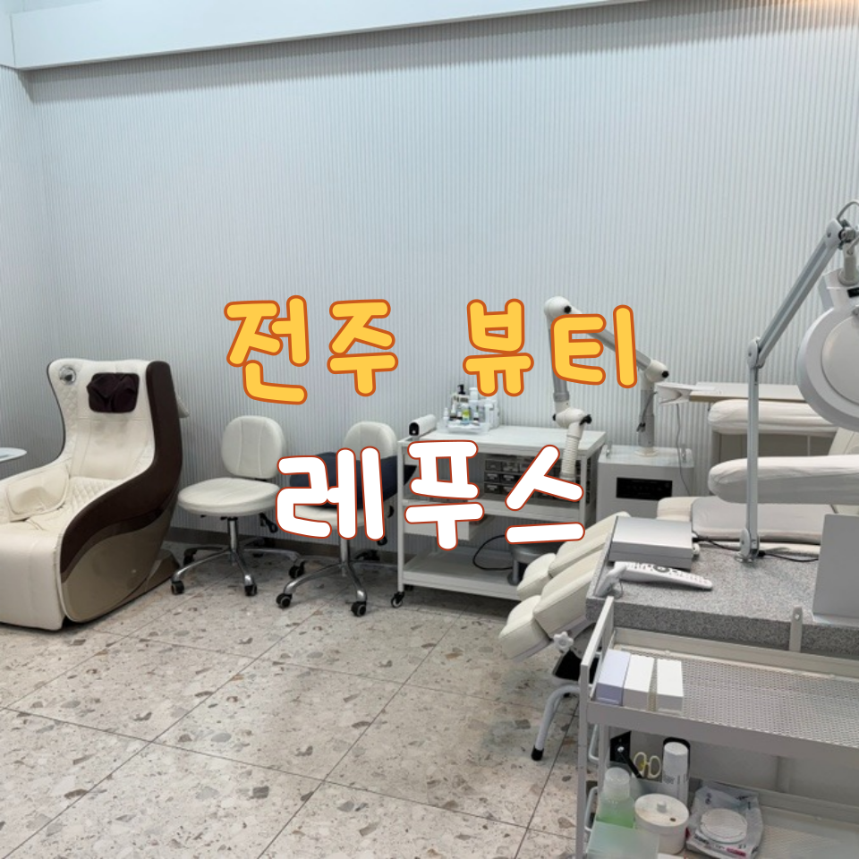 레푸스전주 이미지