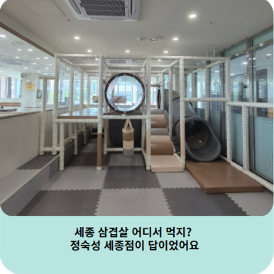 정숙성 세종점 이미지