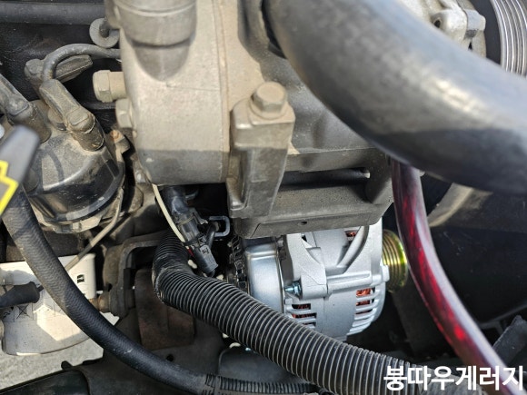 붕따우게러지 이미지