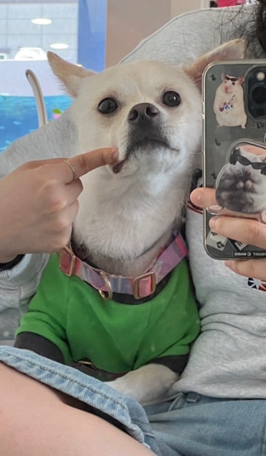 티티엠(ttm) 이미지