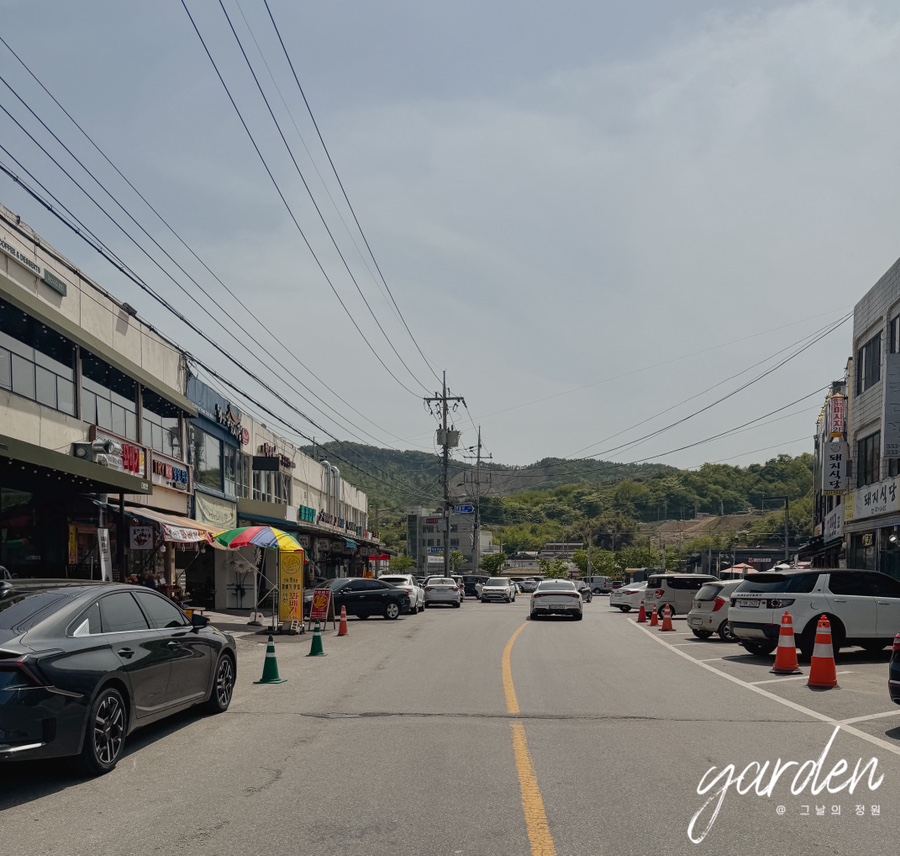 제일정효소꽈배기 이미지