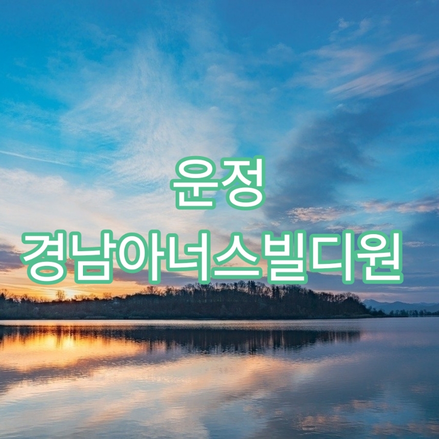 디원코리아 이미지