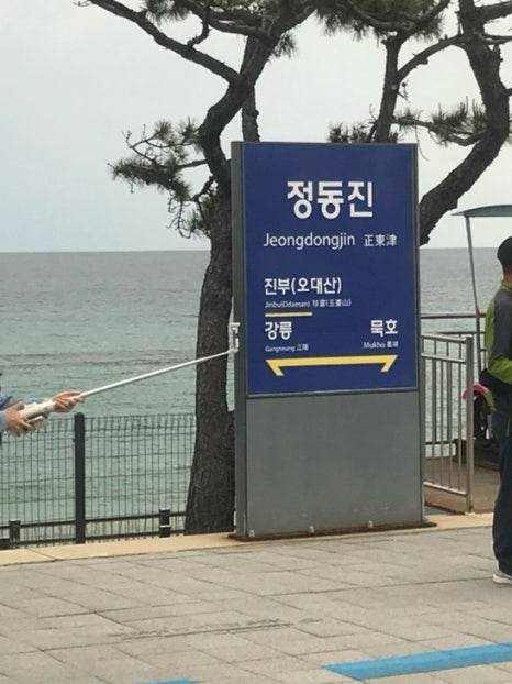 비비다방 이미지