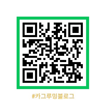 카그루밍 이미지
