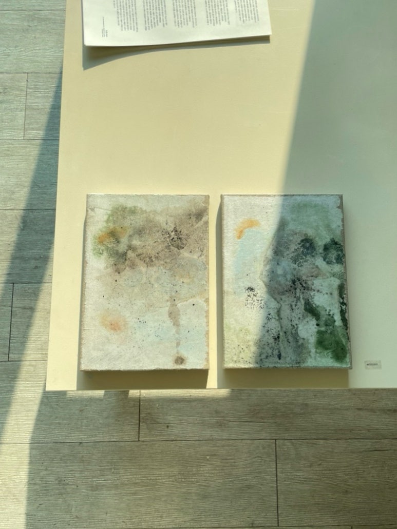 어피스어피스 이미지