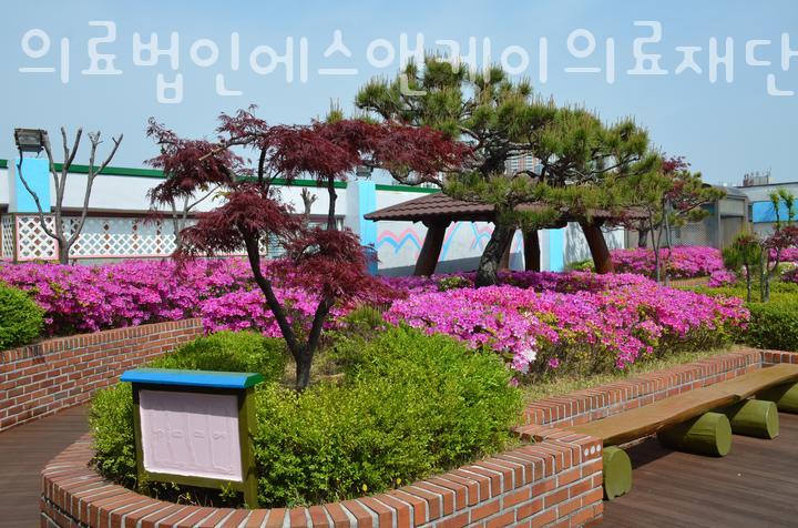 에스앤케이의료재단 이미지