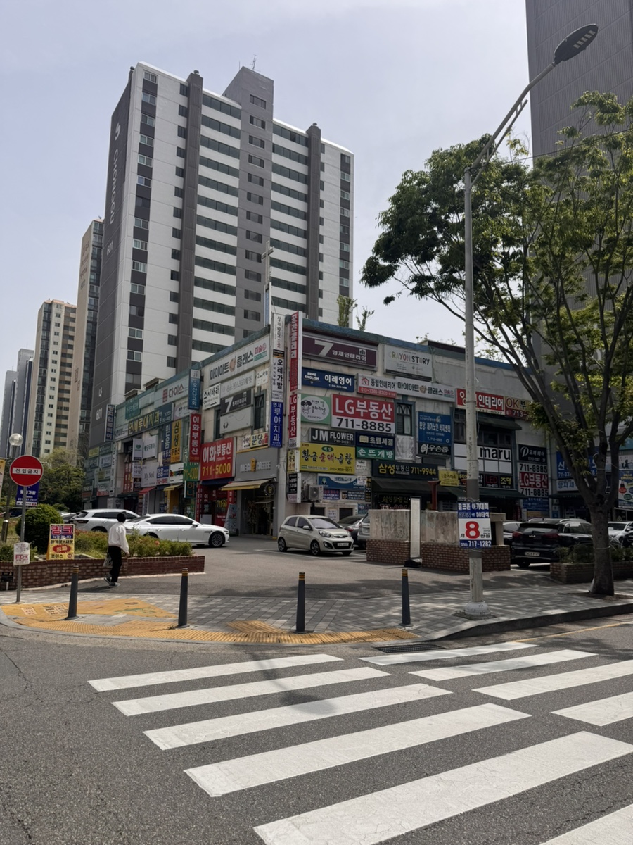 루미네일 이미지