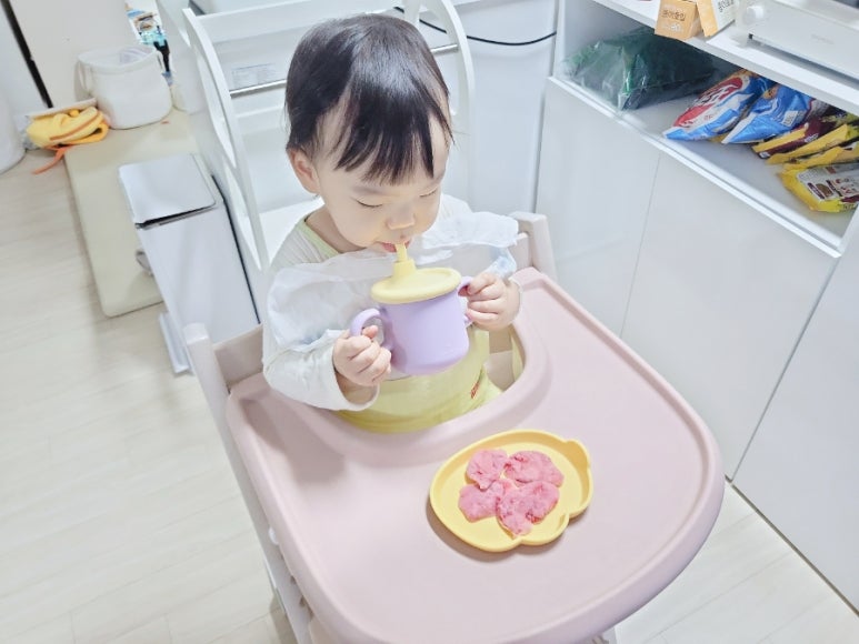 자연전집 이미지