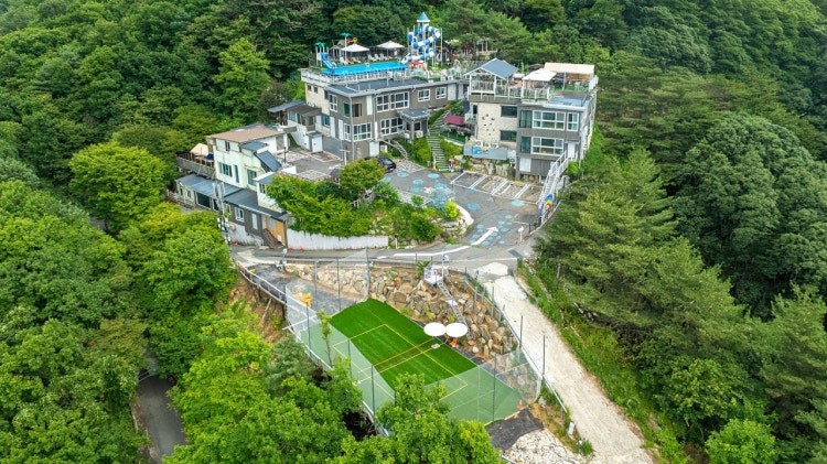 모꼬지 이미지
