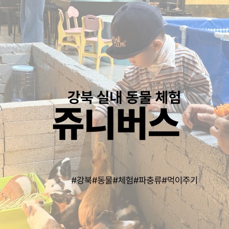 쥬니버스 이미지