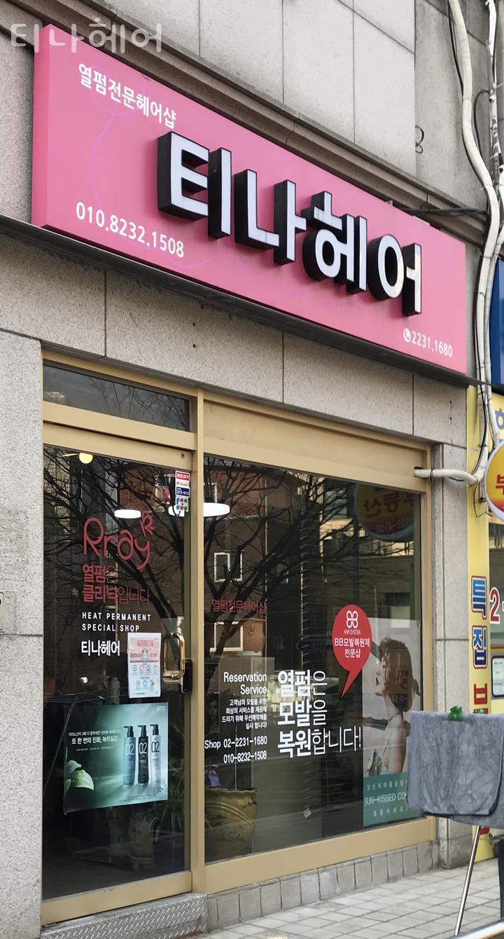 티나 헤어 이미지