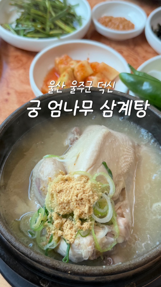 궁.엄나무삼계탕 이미지