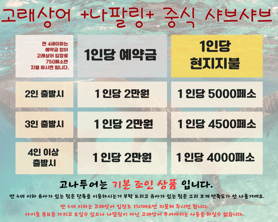 로나투어 이미지
