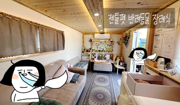 젠틀펫 이미지