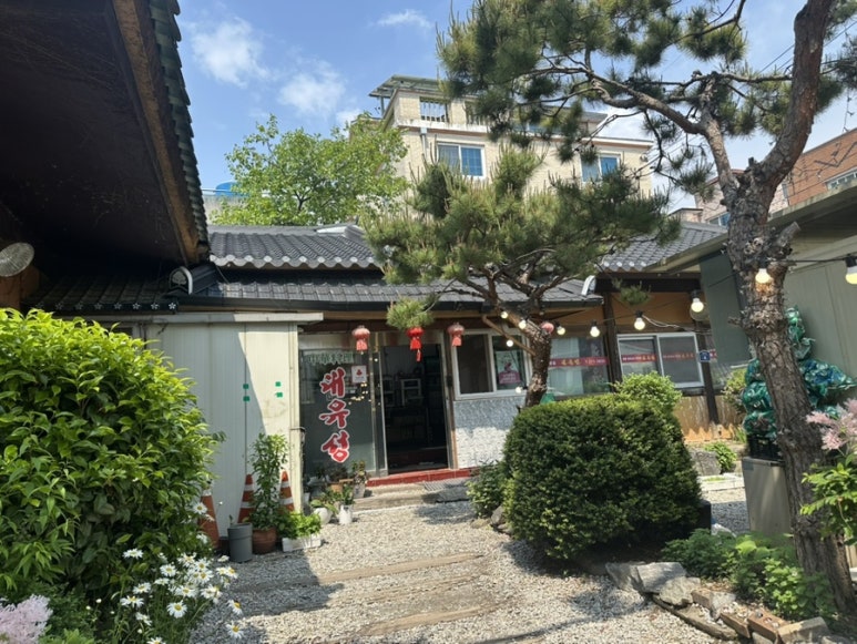 정통대유성 이미지