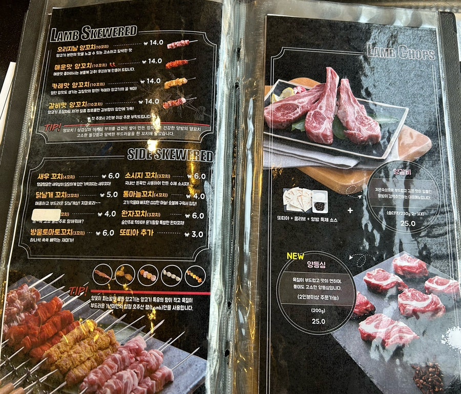 양꽃이피는밤 이미지