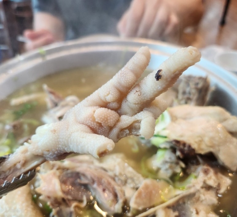 송천한방백숙 이미지