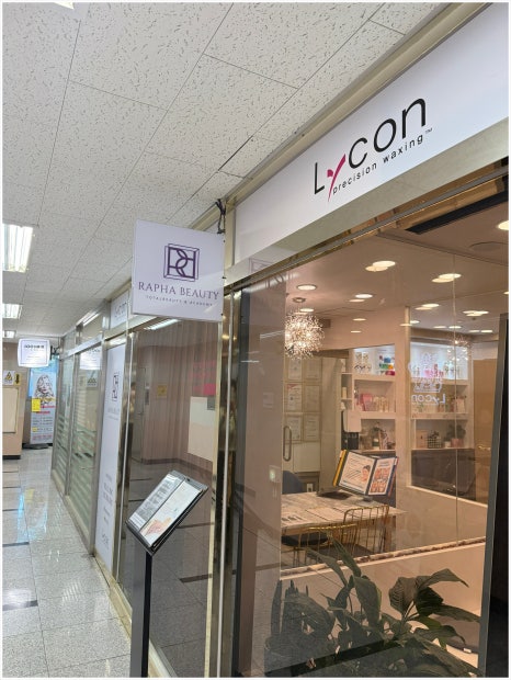 라파시스템 이미지
