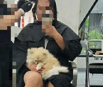 투디아 이미지
