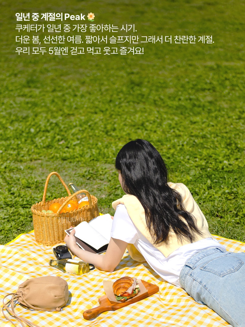 쿠레이션 이미지