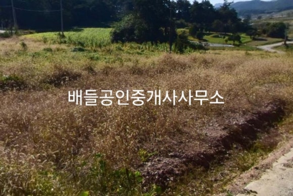 무안IC 이미지