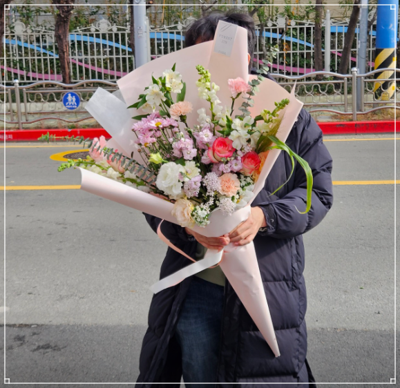 돈포레스트 이미지